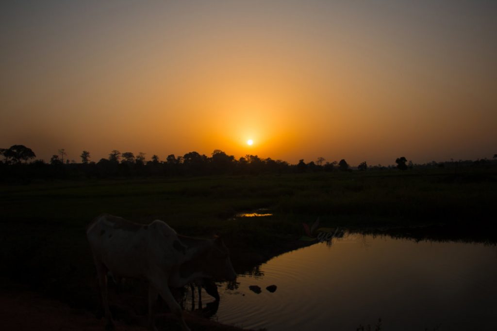 coucher de soleil par yefien communication cote d'ivoire